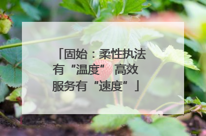 固始：柔性执法有“温度” 高效服务有“速度”