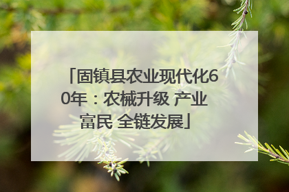 固镇县农业现代化60年：农械升级 产业富民 全链发展