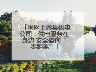 国网上蔡县供电公司：供电服务在身边 安全咨询“零距离”