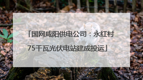 国网咸阳供电公司：永红村75千瓦光伏电站建成投运