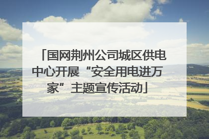 国网荆州公司城区供电中心开展“安全用电进万家”主题宣传活动