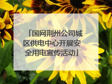 国网荆州公司城区供电中心开展安全用电宣传活动