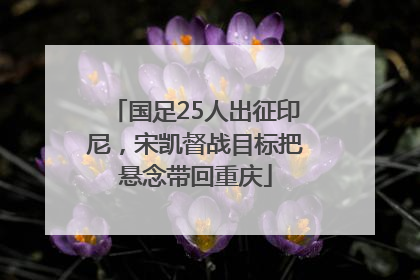 国足25人出征印尼，宋凯督战目标把悬念带回重庆