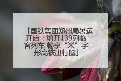 国铁集团郑州局暑运开启：增开139列临客列车 畅享“米”字形高铁出行圈