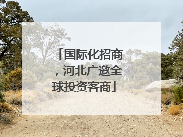 国际化招商，河北广邀全球投资客商