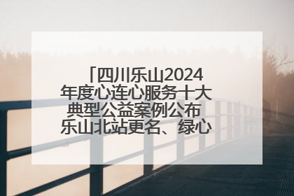 四川乐山2024年度心连心服务十大典型公益案例公布 乐山北站更名、绿心路井盖治理等上榜
