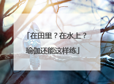 在田里？在水上？瑜伽还能这样练