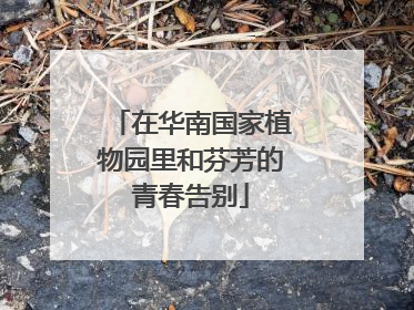 在华南国家植物园里和芬芳的青春告别