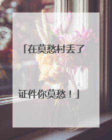 在莫愁村丢了证件你莫愁！