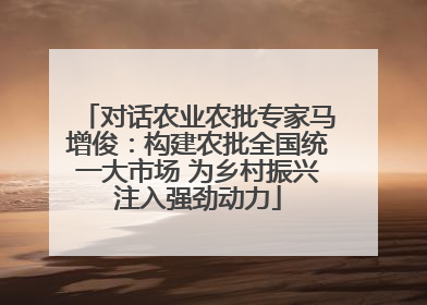 对话农业农批专家马增俊：构建农批全国统一大市场 为乡村振兴注入强劲动力