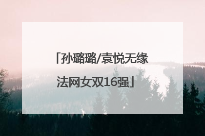 孙璐璐/袁悦无缘法网女双16强