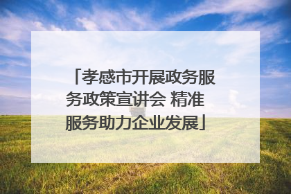 孝感市开展政务服务政策宣讲会 精准服务助力企业发展