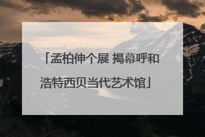 孟柏伸个展 揭幕呼和浩特西贝当代艺术馆