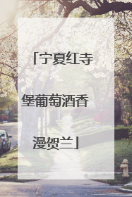 宁夏红寺堡葡萄酒香漫贺兰