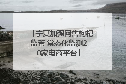宁夏加强网售枸杞监管 常态化监测20家电商平台