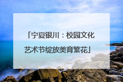 宁夏银川：校园文化艺术节绽放美育繁花