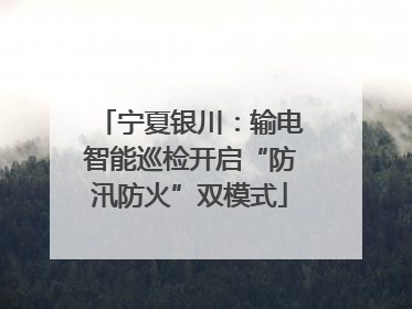 宁夏银川：输电智能巡检开启“防汛防火”双模式