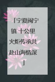 宁夏闽宁镇 十公里火炬传承共赴山海情深