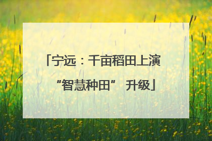 宁远：千亩稻田上演 “智慧种田” 升级
