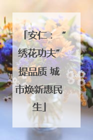 安仁：“绣花功夫”提品质 城市焕新惠民生