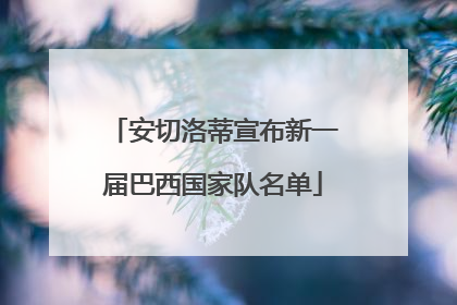 安切洛蒂宣布新一届巴西国家队名单