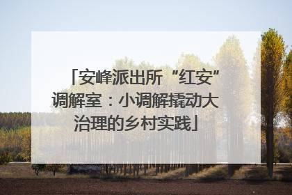 安峰派出所“红安”调解室：小调解撬动大治理的乡村实践