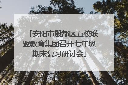 安阳市殷都区五校联盟教育集团召开七年级期末复习研讨会