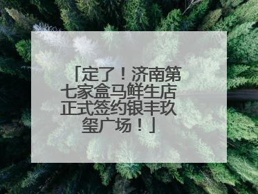 定了！济南第七家盒马鲜生店正式签约银丰玖玺广场！