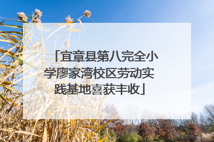 宜章县第八完全小学廖家湾校区劳动实践基地喜获丰收