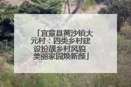 宜章县黄沙镇大元村：四类乡村建设扮靓乡村风貌 美丽家园焕新颜