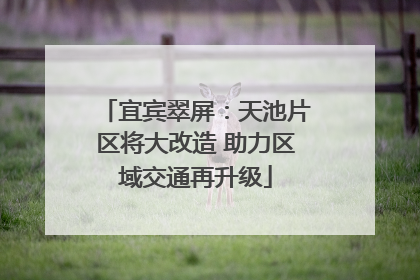 宜宾翠屏：天池片区将大改造 助力区域交通再升级