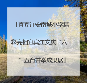 宜宾江安南城小学精彩亮相宜宾江安庆“六一”五育并举成果展