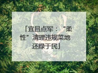 宜昌点军：“柔性”清理违规菜地 还绿于民