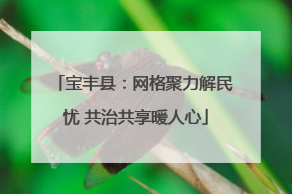 宝丰县：网格聚力解民忧 共治共享暖人心