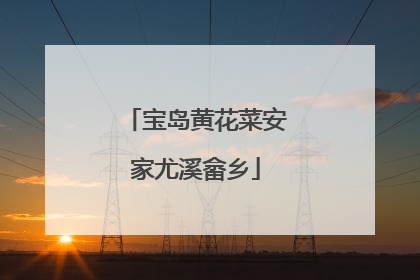 宝岛黄花菜安家尤溪畲乡