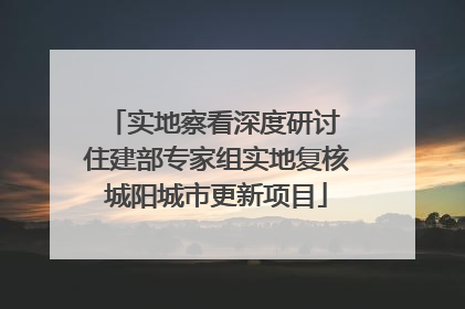 实地察看深度研讨 住建部专家组实地复核城阳城市更新项目