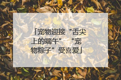 宠物迎接“舌尖上的端午” “宠物粽子”受喜爱
