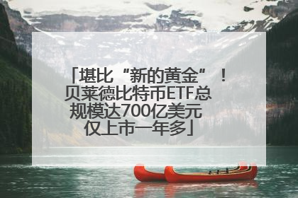 堪比“新的黄金”！贝莱德比特币ETF总规模达700亿美元 仅上市一年多