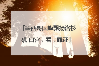 墨西哥国旗飘扬洛杉矶 白宫：看，罪证