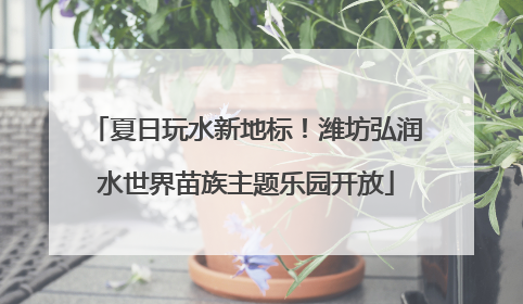夏日玩水新地标！潍坊弘润水世界苗族主题乐园开放