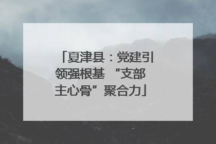 夏津县：党建引领强根基 “支部主心骨”聚合力