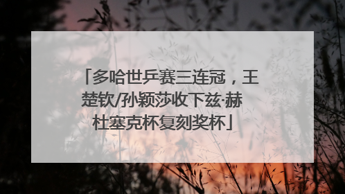 多哈世乒赛三连冠，王楚钦/孙颖莎收下兹·赫杜塞克杯复刻奖杯
