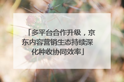 多平台合作升级，京东内容营销生态持续深化种收协同效率