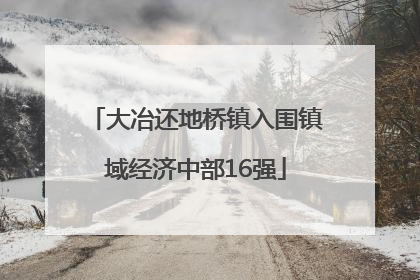 大冶还地桥镇入围镇域经济中部16强