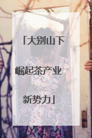 大别山下崛起茶产业新势力