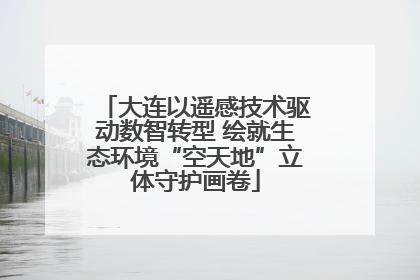 大连以遥感技术驱动数智转型 绘就生态环境“空天地”立体守护画卷