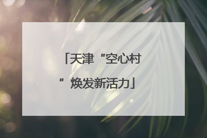 天津“空心村”焕发新活力