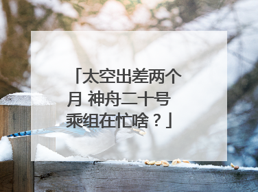 太空出差两个月 神舟二十号乘组在忙啥？