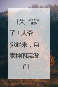 失“蒜”了！大爷一觉起来，自家种的蒜没了