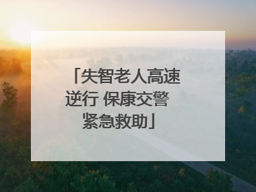 失智老人高速逆行 保康交警紧急救助